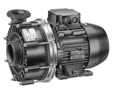 Насос (1,6кВт 220В) Badu 21-50/43 G Speck (235.0430.138)