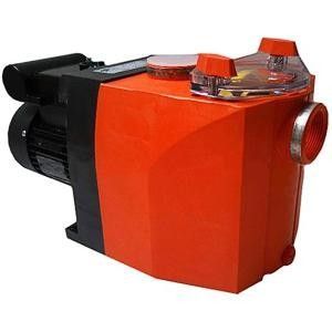 Насос ( 24 м3/ч 380В) Filterpump Badu 40/32 Speck Pumpen (39104702/2040320037)